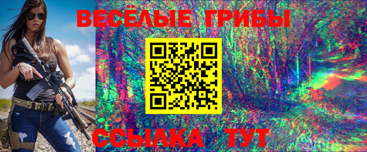Псилоцибиновые грибы Psilocybe  Вход с VPN  Усть-Илимск 